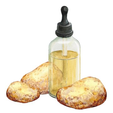 Ambergris (Ambar gris)