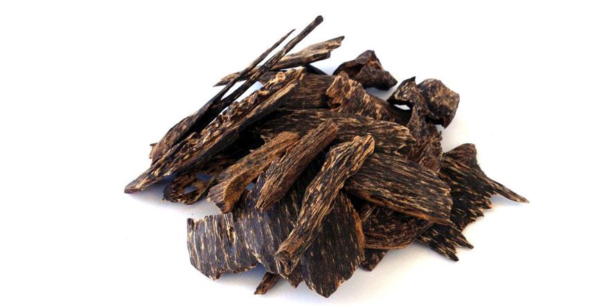 Aquilaria malaccensis (Agarwood)