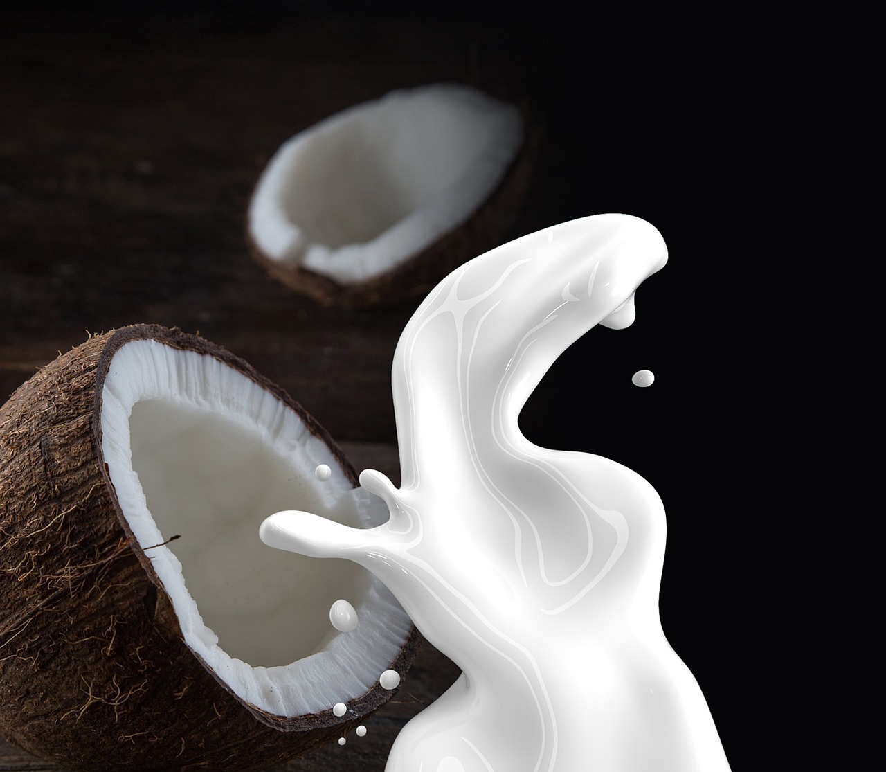 Coconut nucifera L. (Coconut)